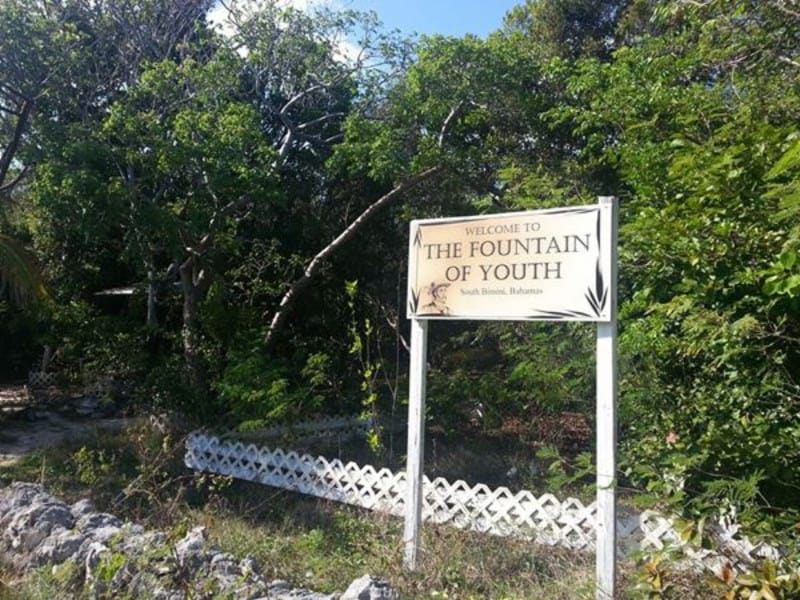 Fuente de la Juventud, Bahamas