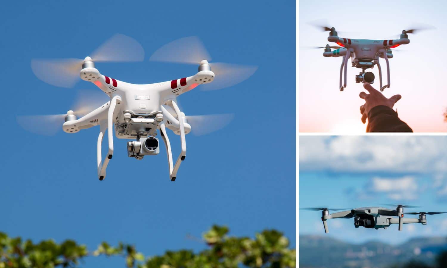 Algunas líneas de cruceros permiten drones, mientras que otras no. 