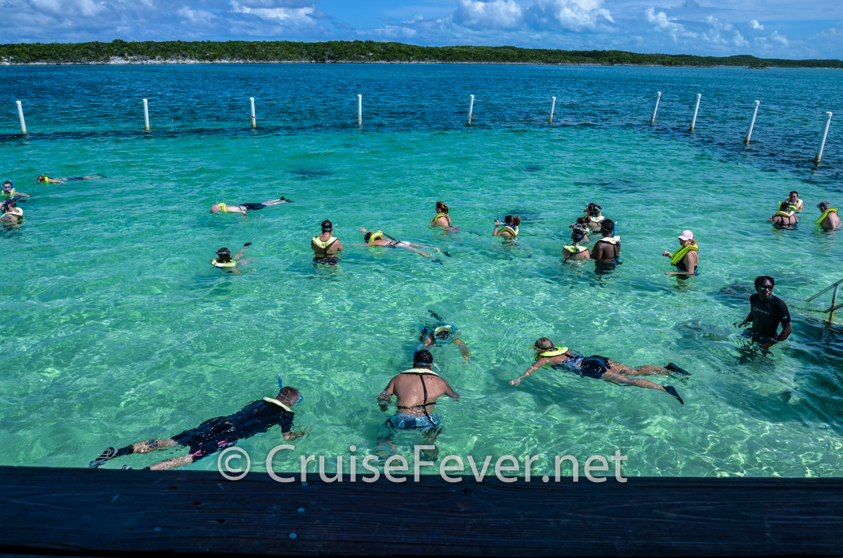 16 cosas que hacer en Half Moon Cay, Bahamas (Guía definitiva) stingray cove cayo media luna