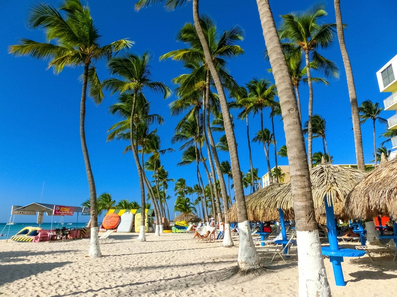 Las 19 mejores cosas para hacer en Aruba en tu crucero playa de palmeras aruba