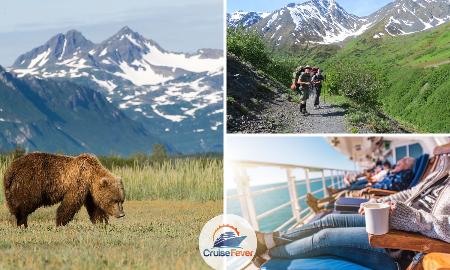 Oso grizzly y rutas de senderismo en Alaska desde un crucero
