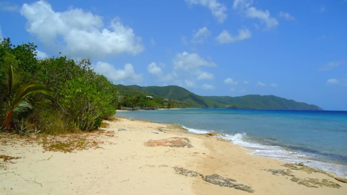 Playa de la bahía de caña