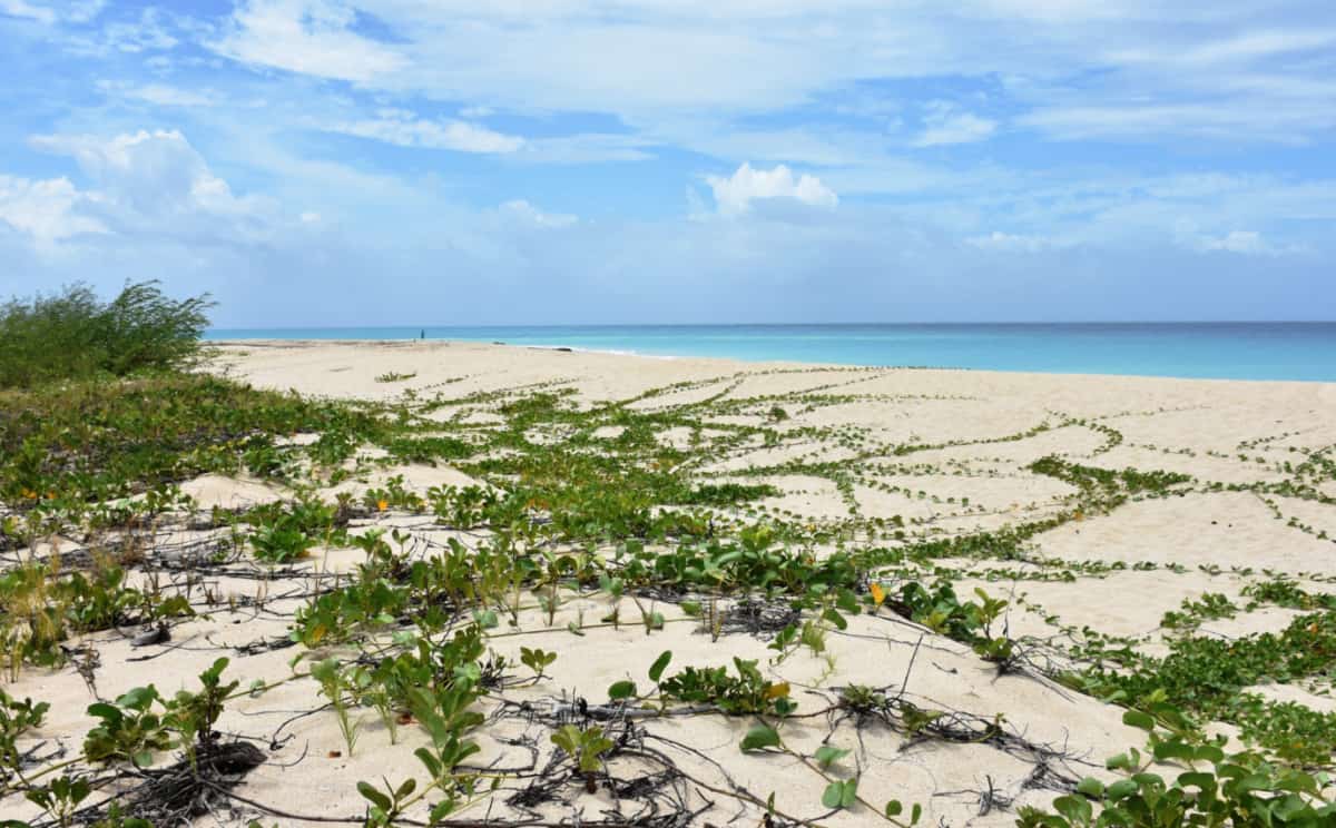 Playa de Sandy Point