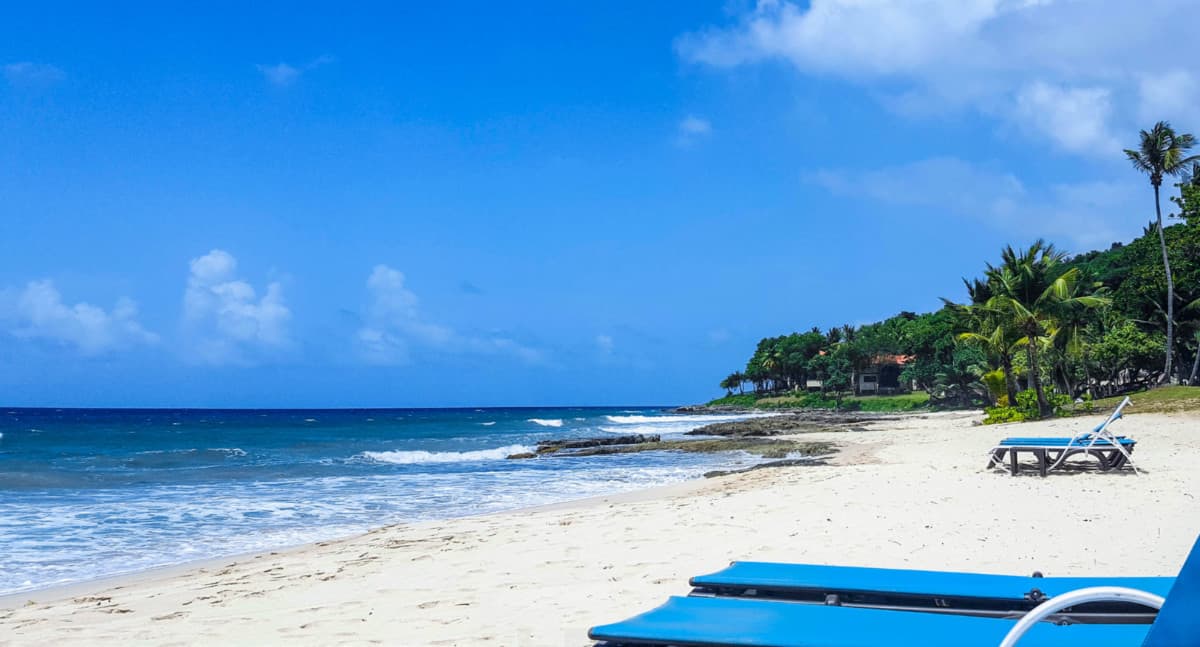 Playa Carambola / Davis