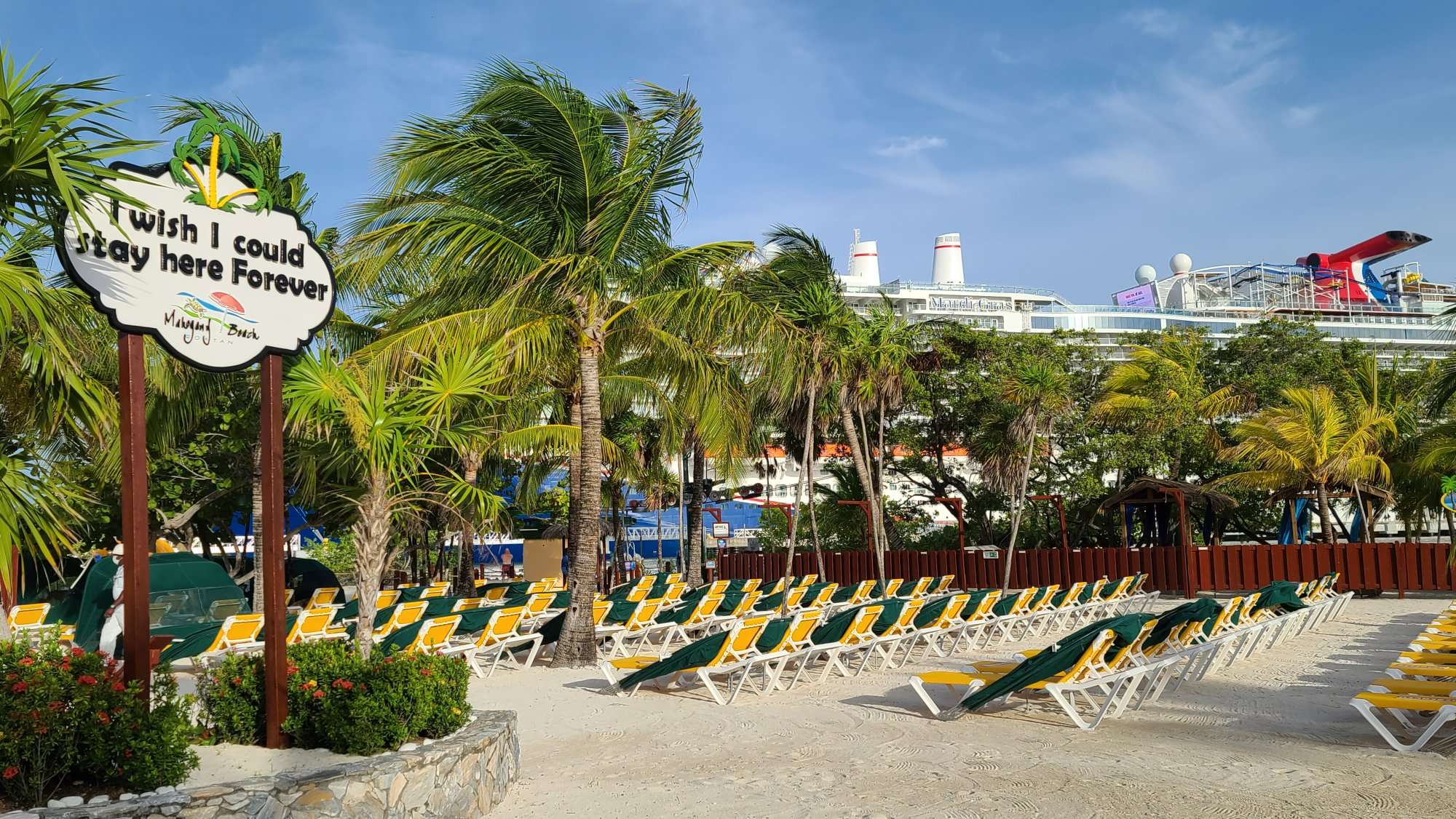 Guía definitiva del puerto de cruceros de Mahogany Bay en Roatán, Honduras tumbonas en Mahogany Beach con palmeras y conchas de almejas