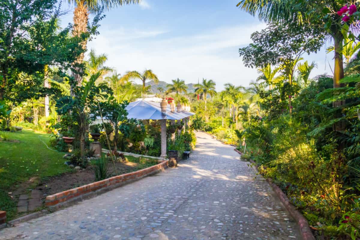 Jardín Botánico de Puerto Vallarta