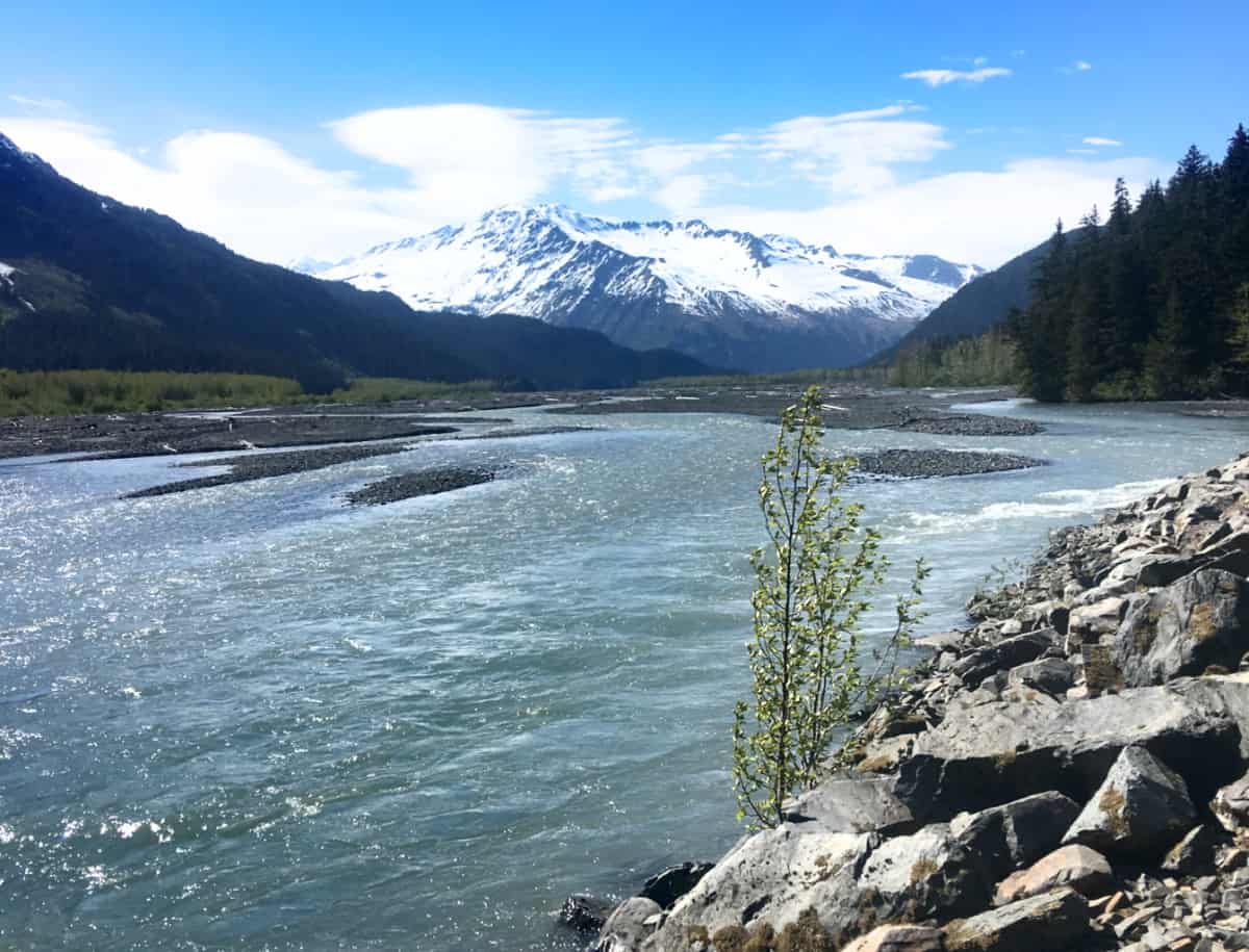 Punto Lowell en Seward, Alaska