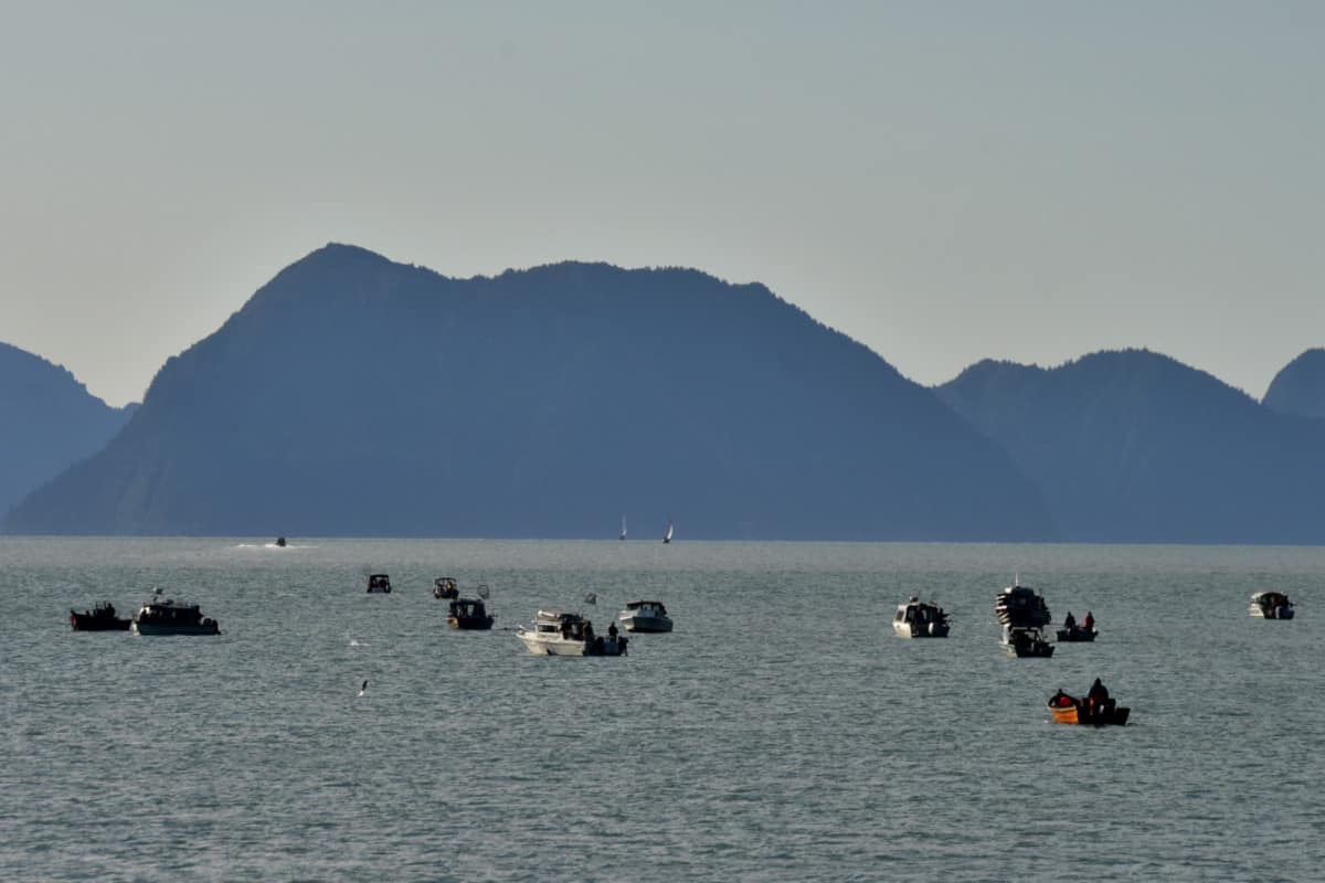 El Silver Salmon Derby en Resurrection Bay
