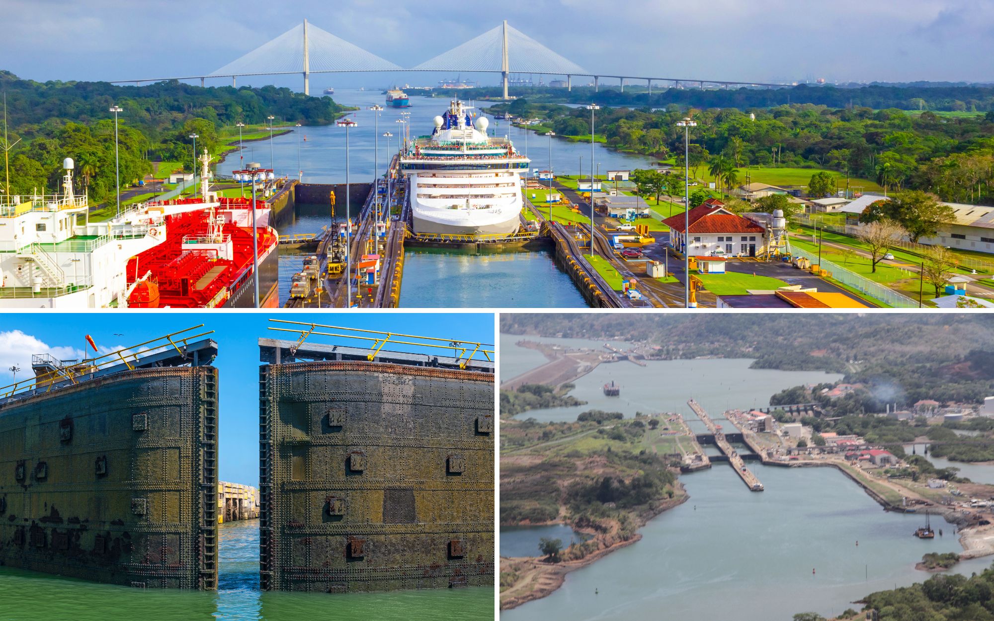 crucero por el canal de panamá