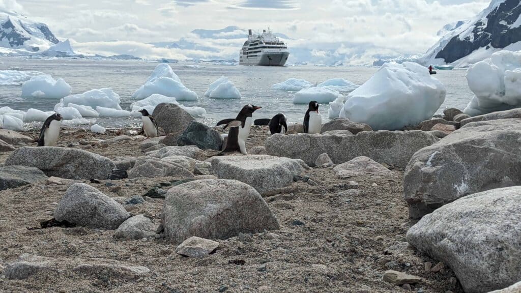 Un crucero de expedición a la Antártida con Abercrombie y Kent |  10