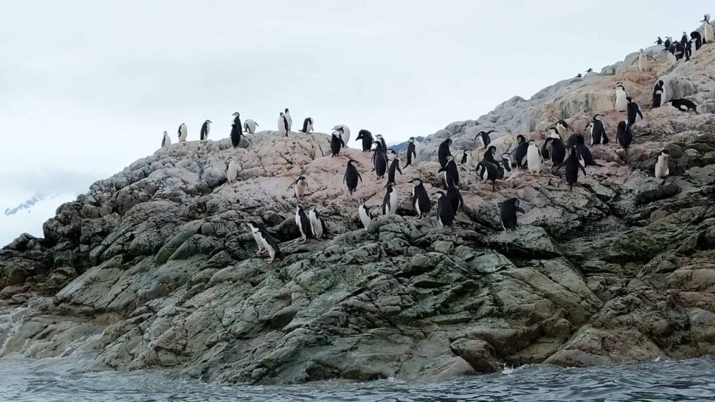 Un crucero de expedición a la Antártida con Abercrombie y Kent |  10