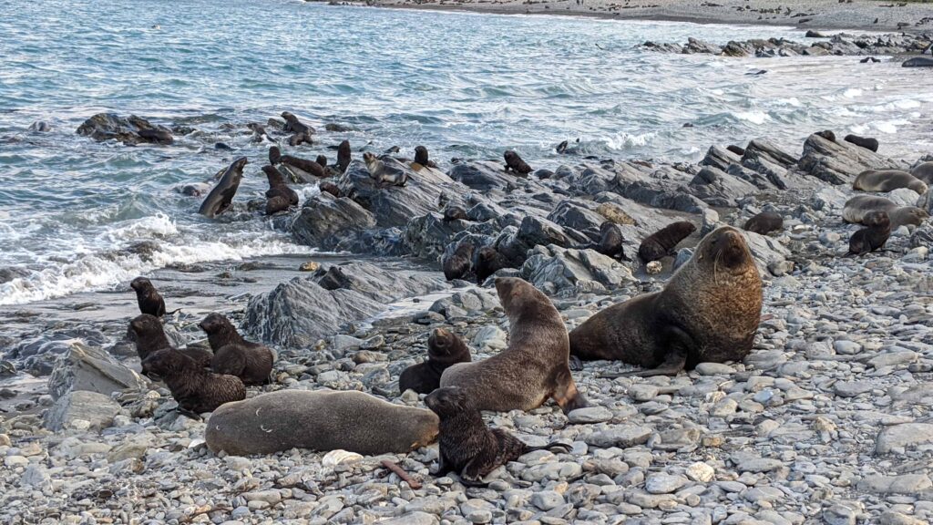 Un crucero de expedición a la Antártida con Abercrombie y Kent |  10