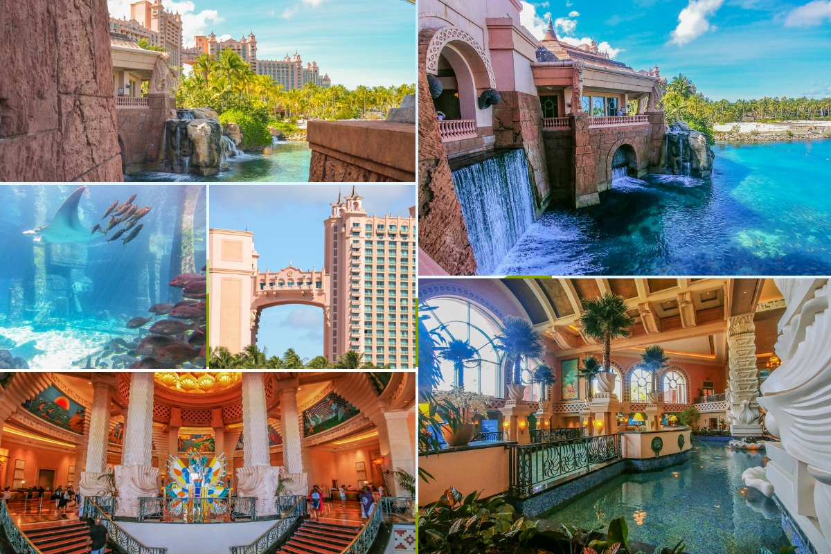 25 cosas inolvidables para hacer en Nassau en un crucero: por qué bajarse del barco cosas que hacer en Atlantis Nasáu