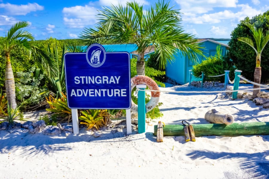 Aventura con rayas en Half Moon Cay, Bahamas