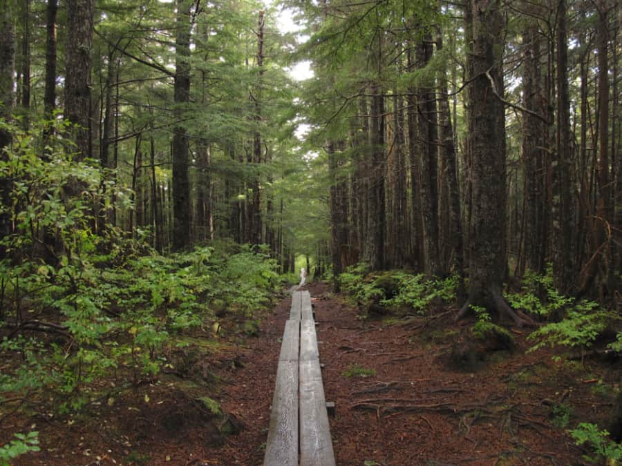 Sendero Gaven Hill, Sitka, Alaska
