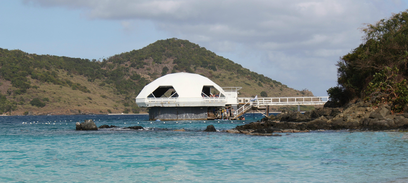 19 cosas que hacer en St. Thomas durante un crucero mundo de coral st thomas