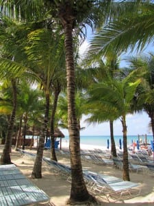 Cruceros a Cozumel, 5 cosas que hacer en el puerto Playa Paraíso, Cozumel