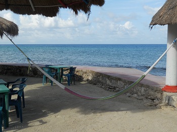 Un día en el puerto conduciendo por Cozumel
