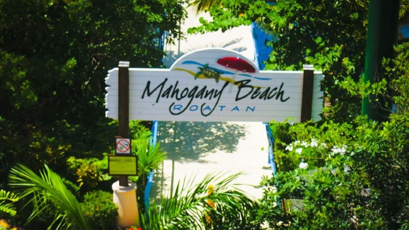 12 mejores cosas para hacer en Mahogany Bay, Isla Roatán