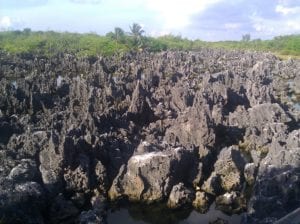 IMG_20120919_080427 Reseña y consejos del puerto de cruceros de Gran Caimán