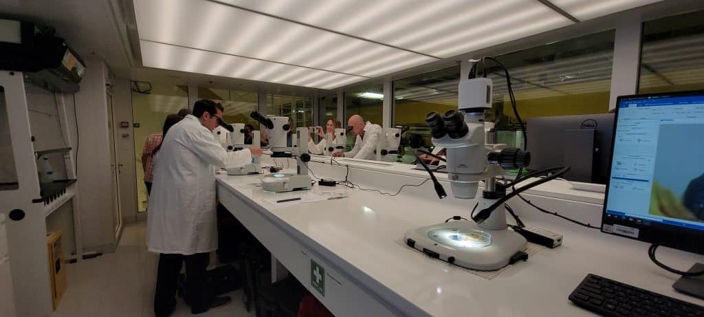 Viking Expedition Team publica el primer artículo científico |  10