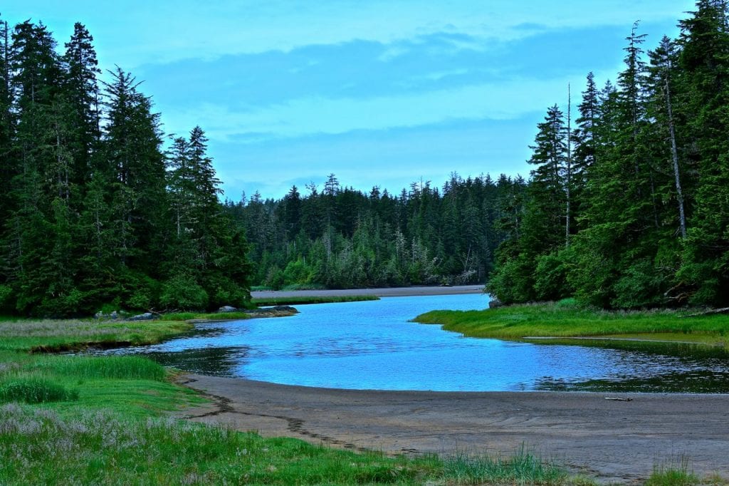 Cosas que debe saber sobre los cruceros a Alaska