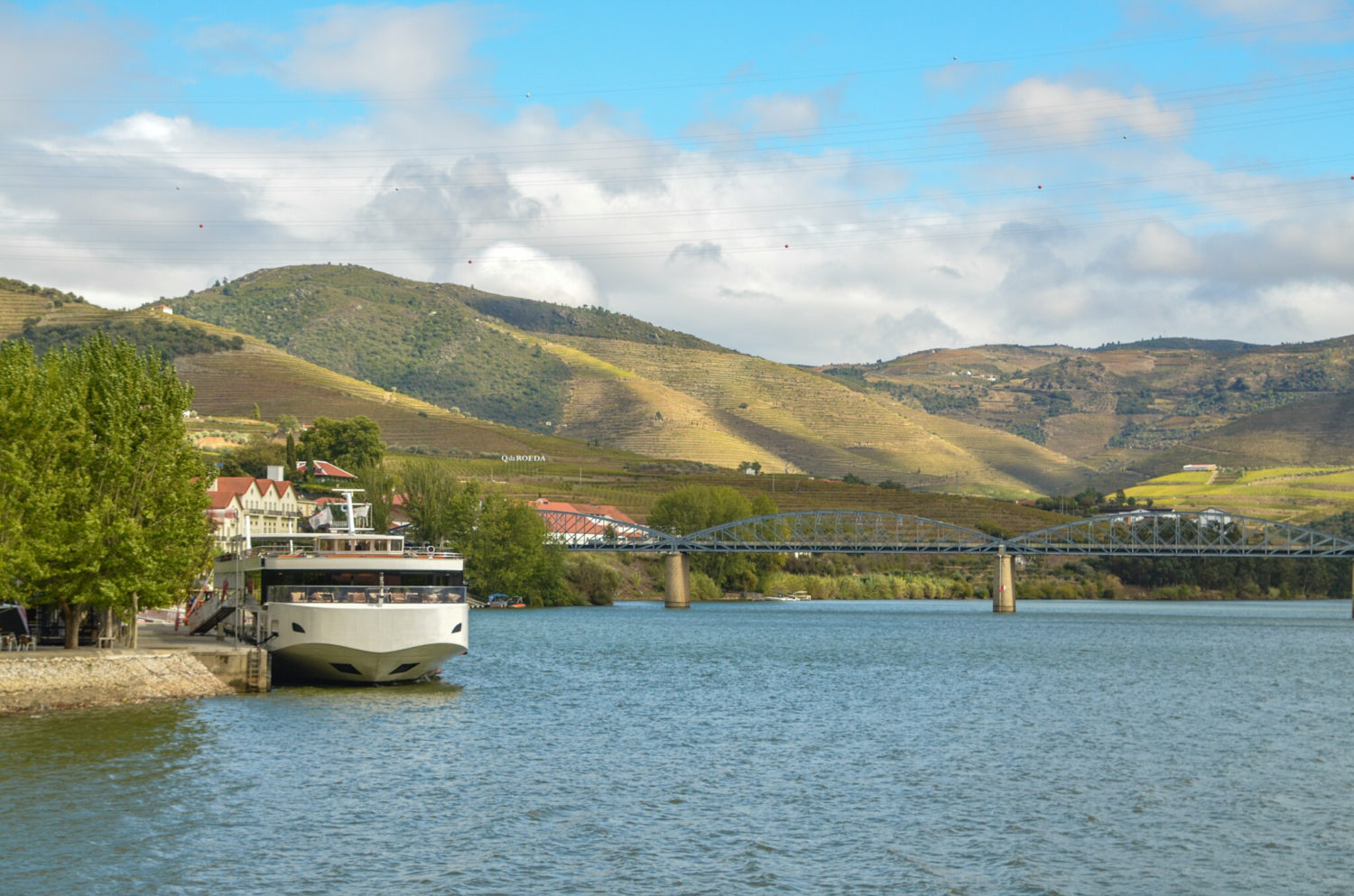 Torgil vikingo en puerto