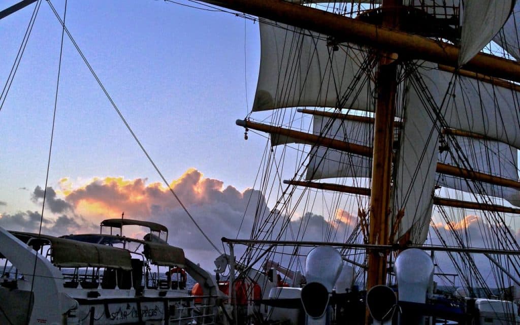 Los grandes veleros de Star Clippers Cortapelos STR Star - 00265
