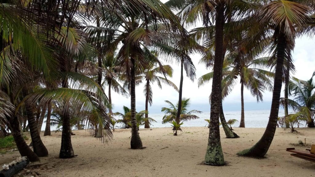 UnCruise Adventures desarrolla nuevos cruceros de expedición en Belice y Guatemala |  dieciséis