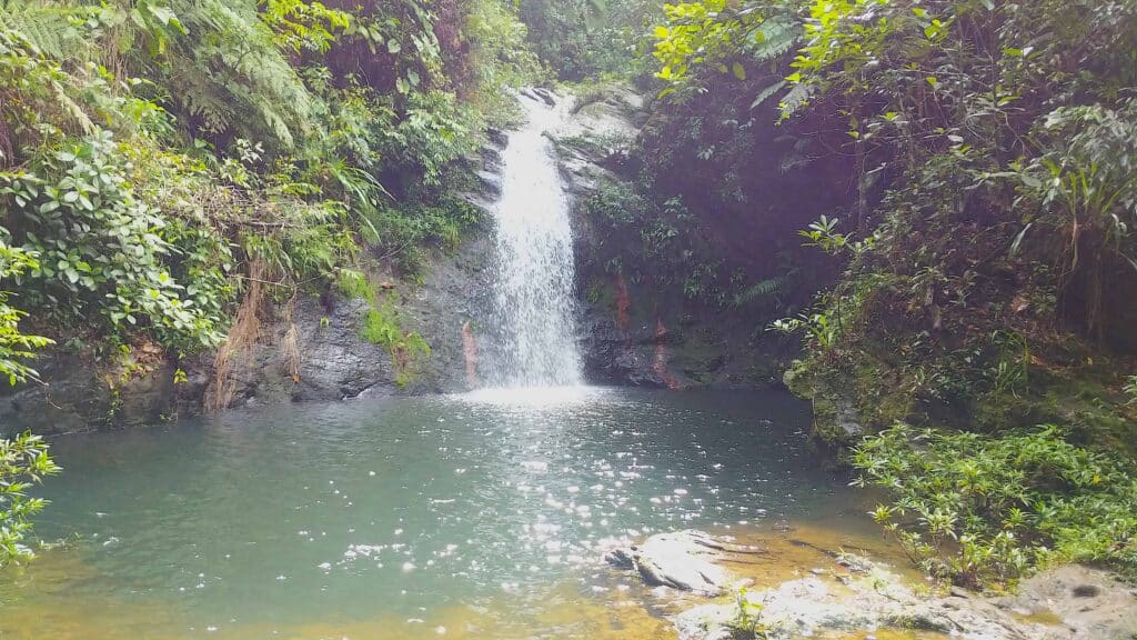 UnCruise Adventures desarrolla nuevos cruceros de expedición en Belice y Guatemala |  dieciséis