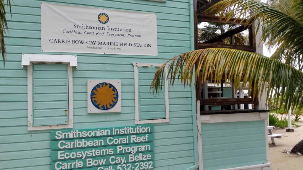 UnCruise Adventures desarrolla nuevos cruceros de expedición en Belice y Guatemala |  dieciséis