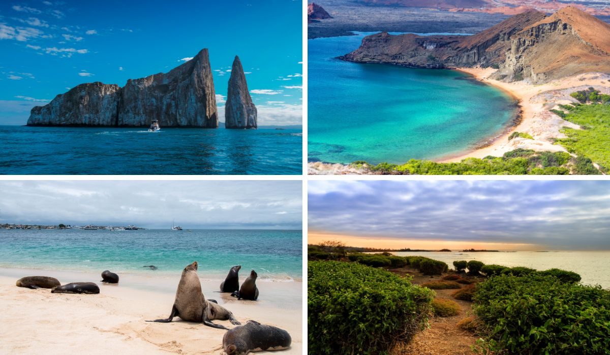 El mejor crucero por las Islas Galápagos: barcos, costos y propinas terreno de las Islas Galápagos