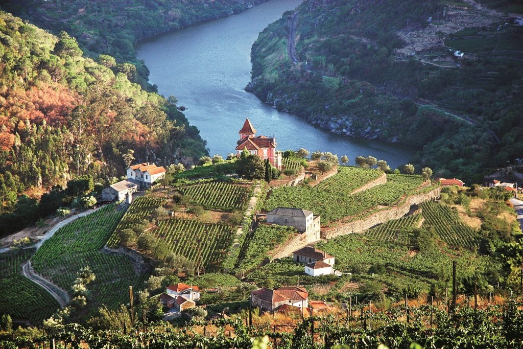 AmaWaterways abre reservas de cruceros fluviales para 2024 |  10