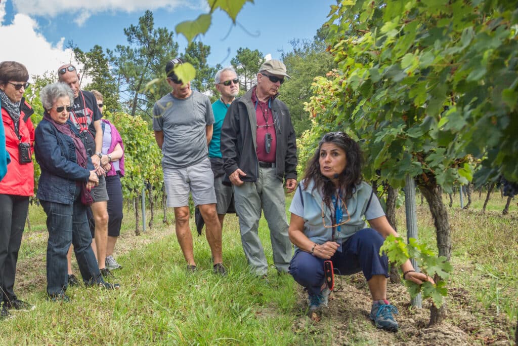 AmaWaterways presenta la adición de anfitriones europeos del vino a su celebración de los cruceros por el río del vino |  10