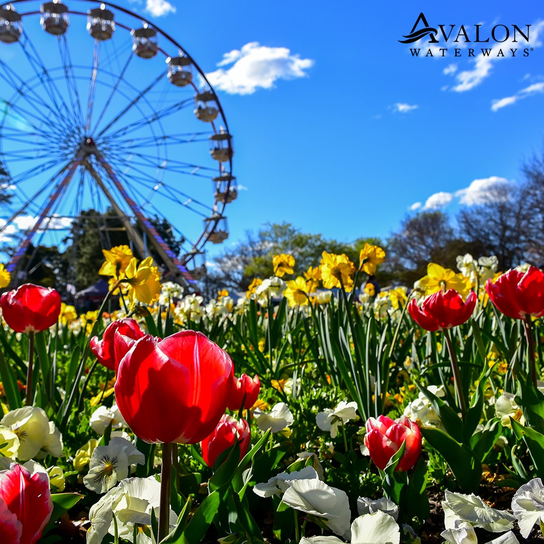 Cruceros especiales destacados de Avalon Waterways para 2022