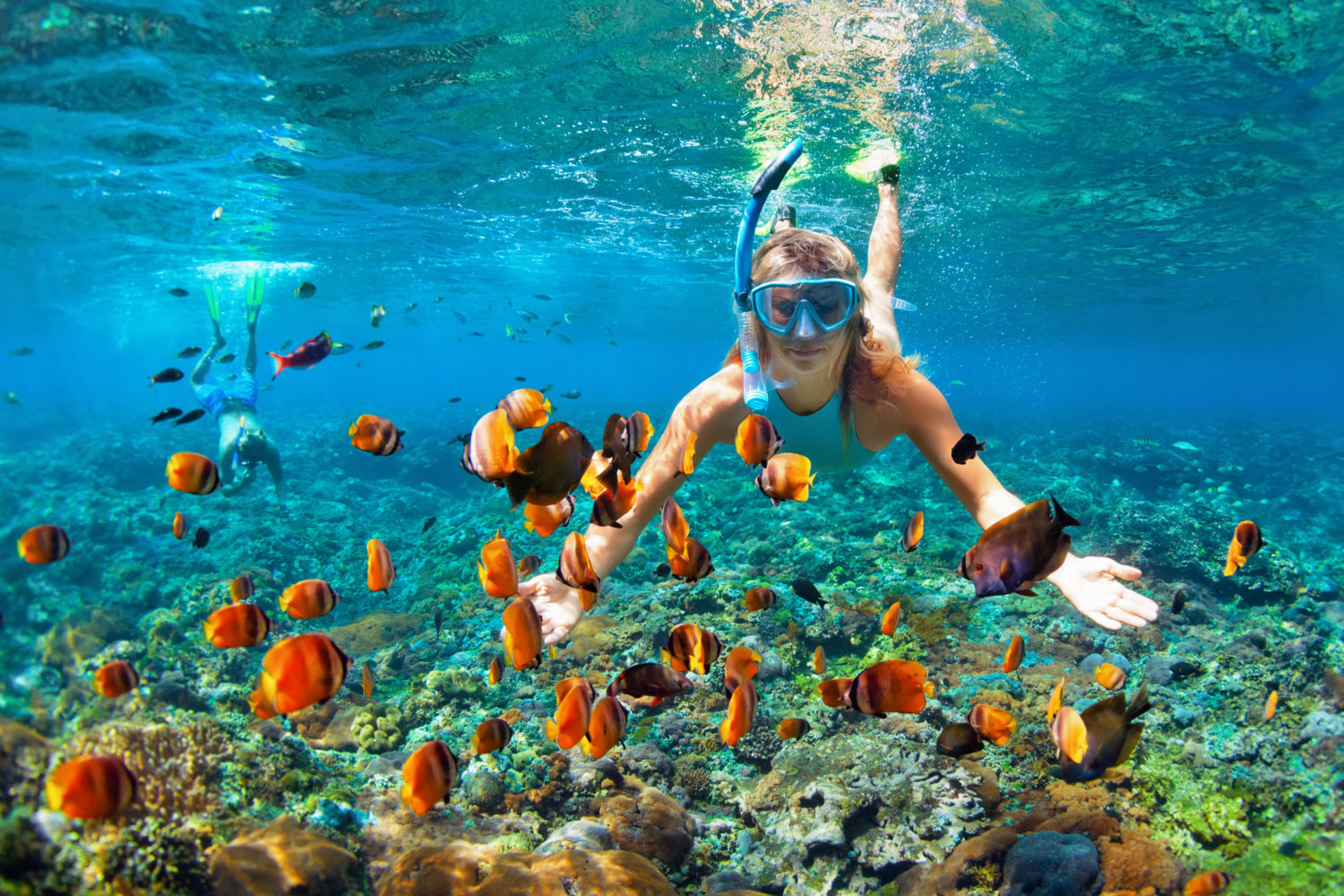 mejores islas del caribe para hacer snorkel