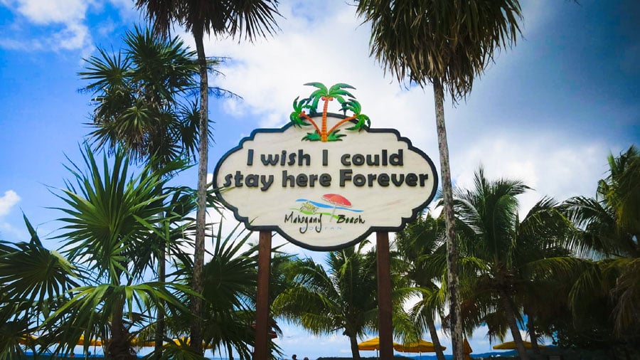 12 mejores cosas para hacer en Mahogany Bay, Isla Roatán